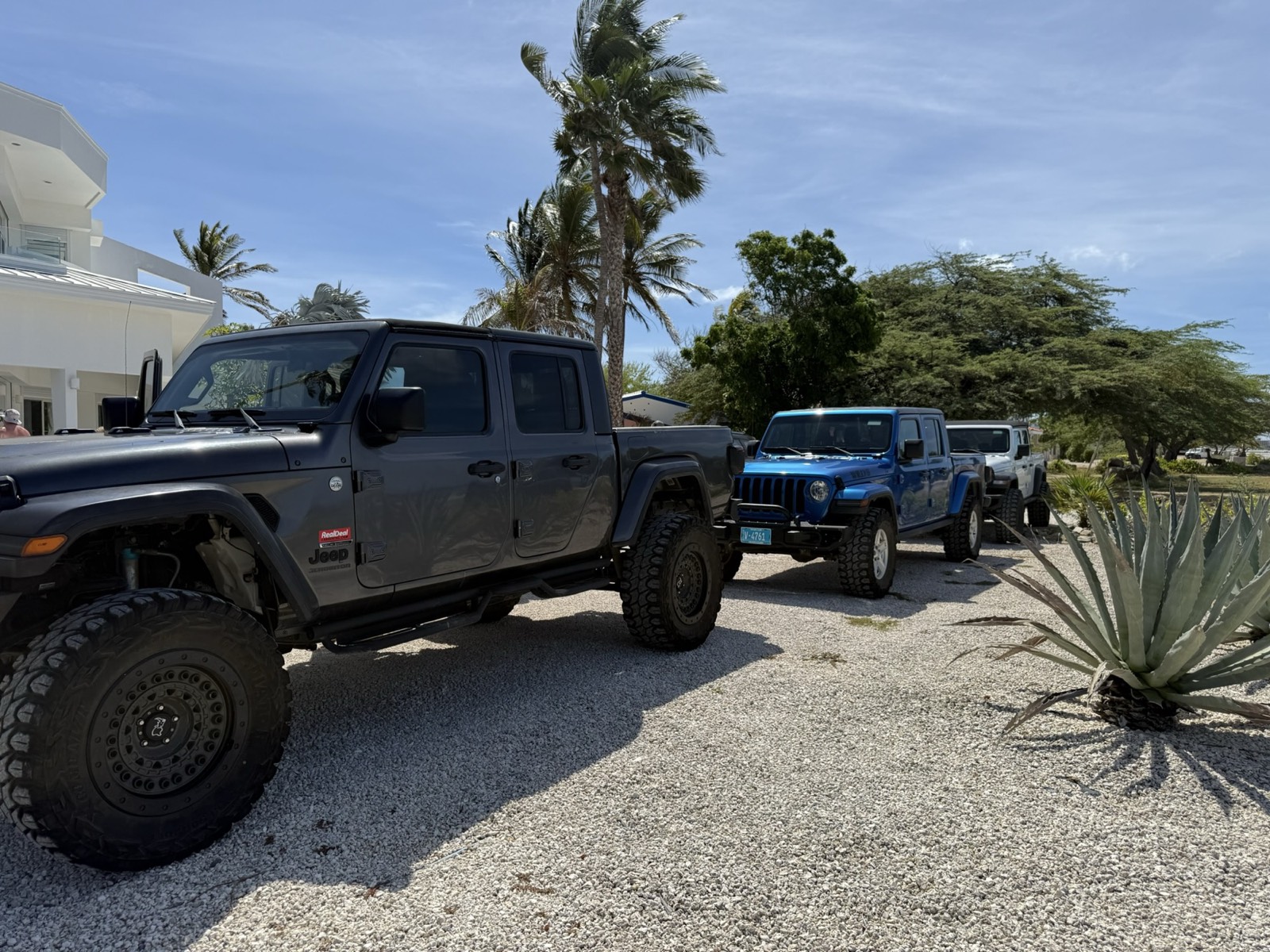 Real Deal vehicles against the Aruba coast