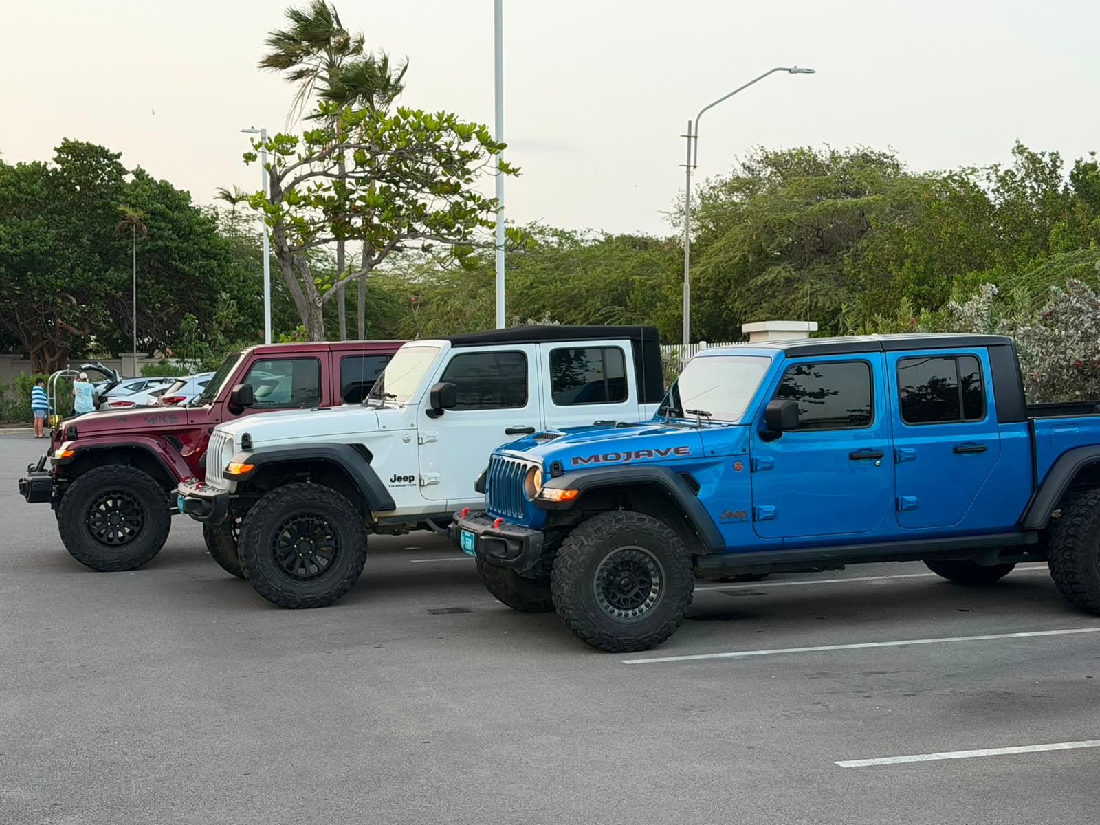 Three Jeeps lined up: Gladiator, Wrangler and Mojave
