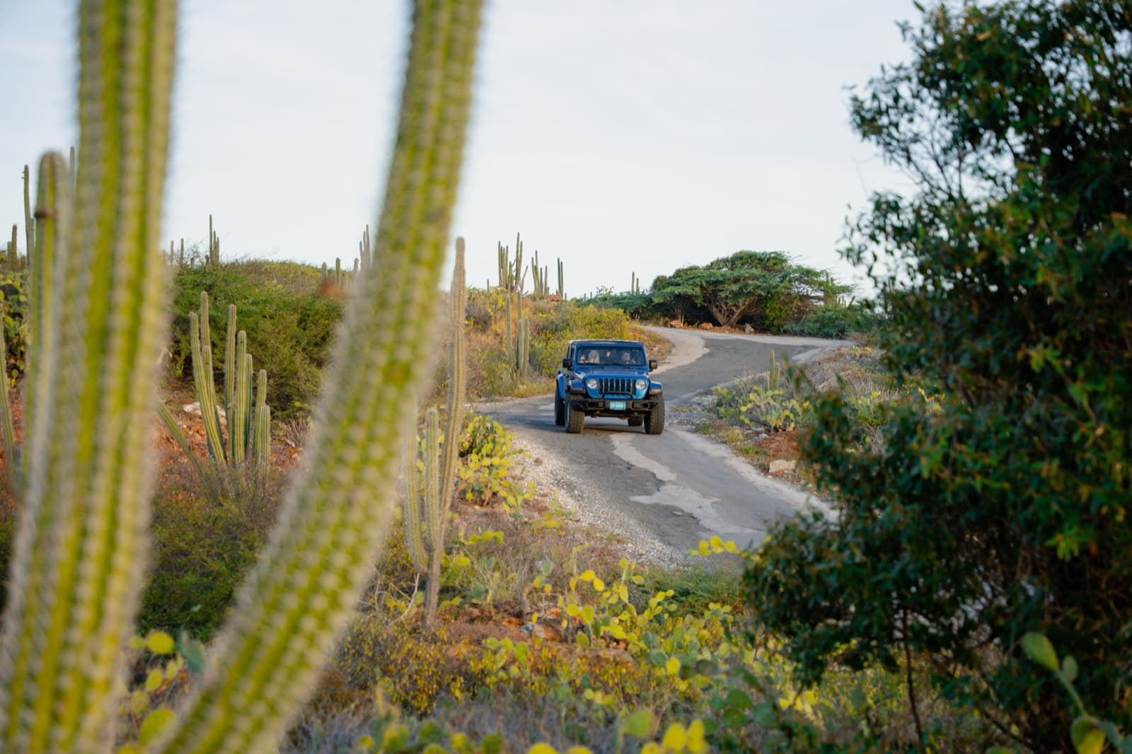 Jeep on the winding Alto Vista road